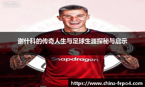 谢什科的传奇人生与足球生涯探秘与启示